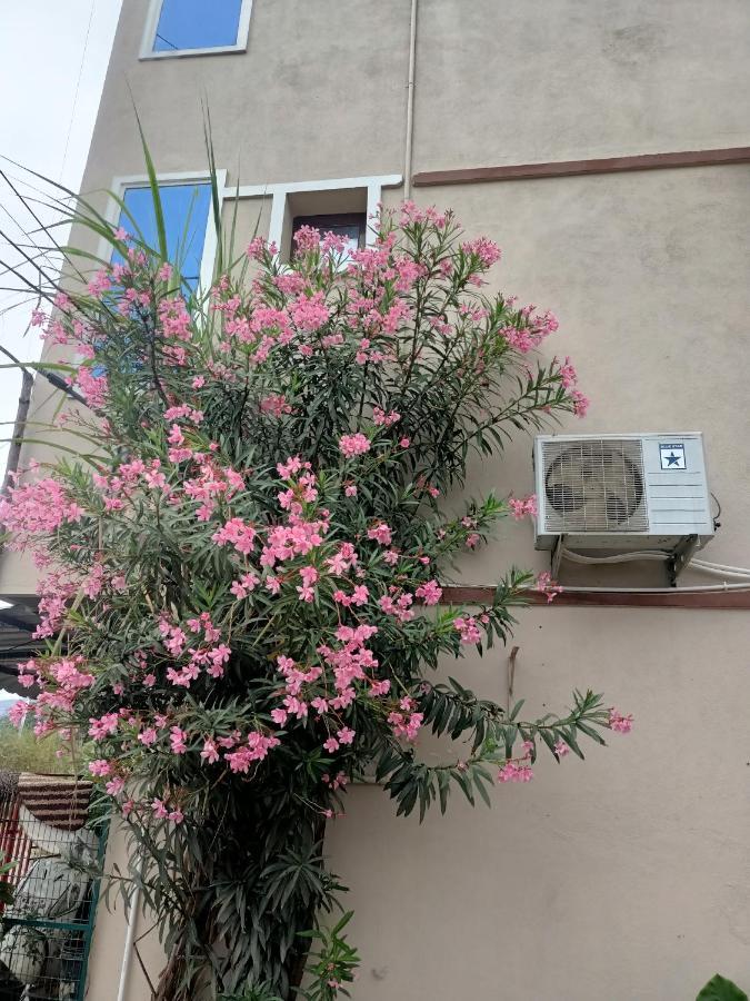 Advik Homestays Tirupati Luaran gambar